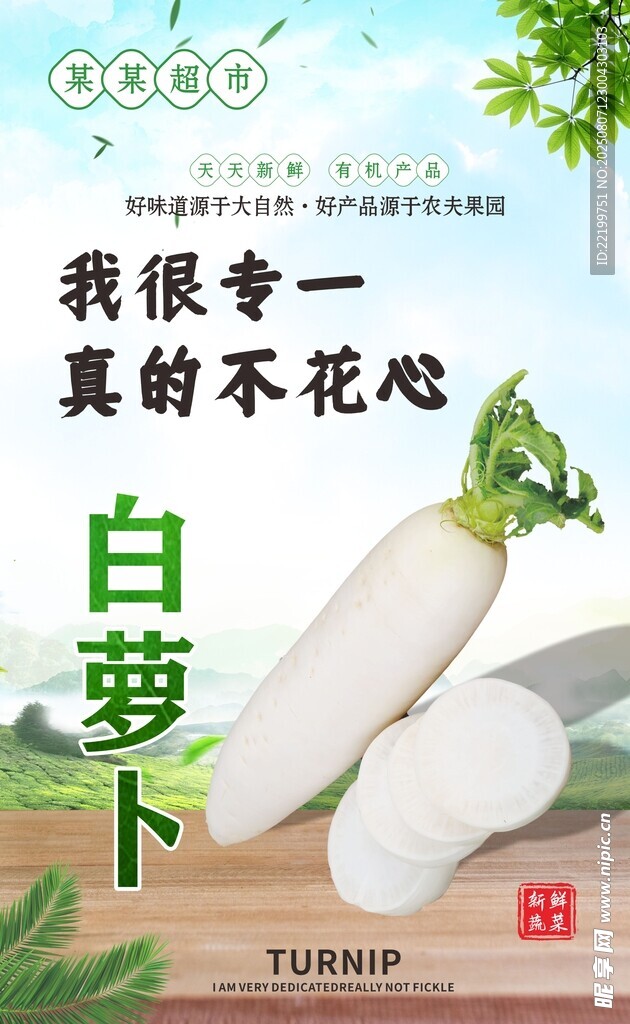 白萝卜