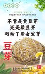 新鲜豆芽