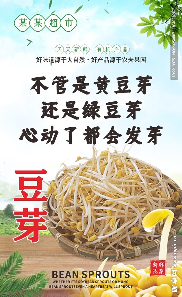 新鲜豆芽