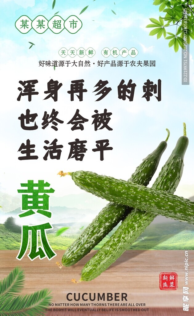 新鲜翠绿的有机黄瓜