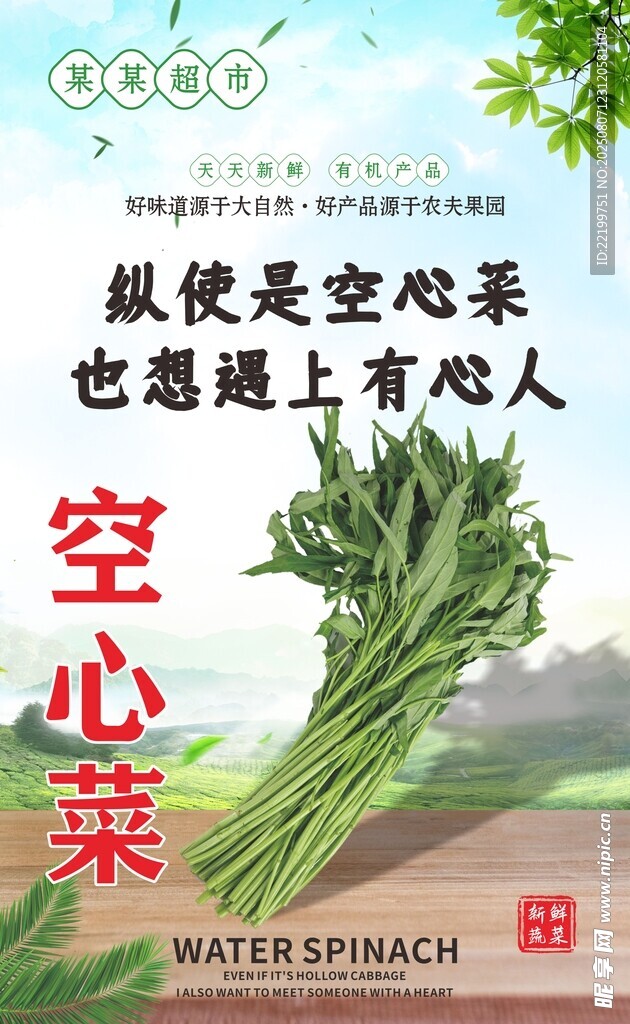 新鲜空心菜  
