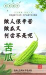 做人如苦瓜 苦却有意义