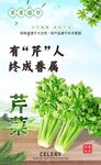有 芹 人终成眷属