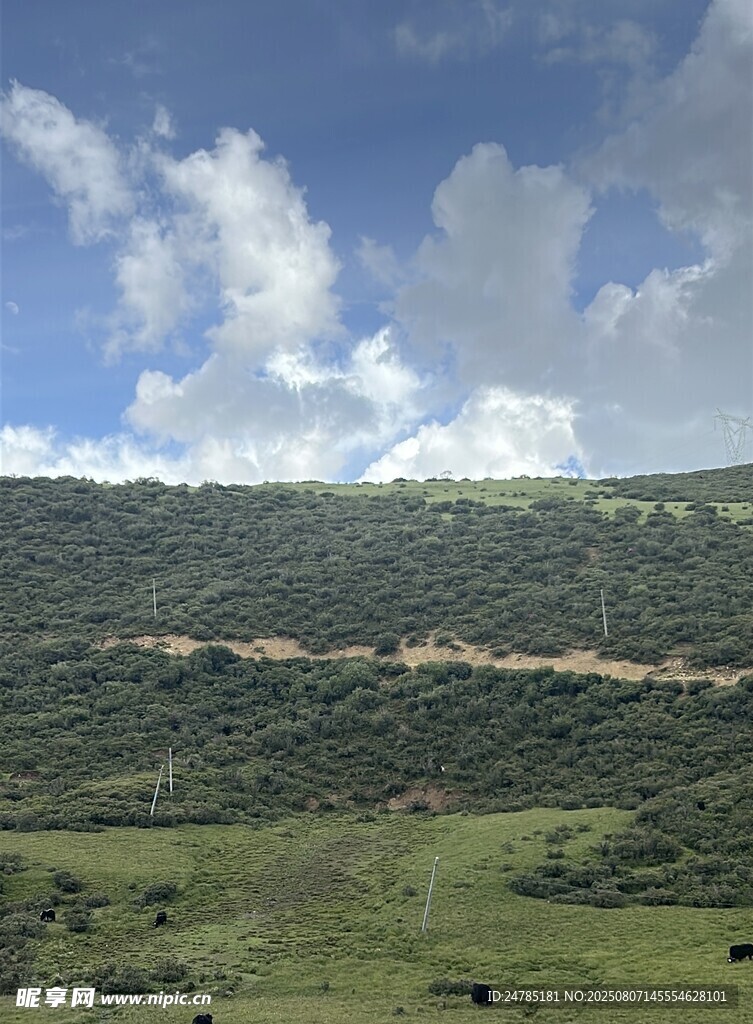 山间绿野风光草原