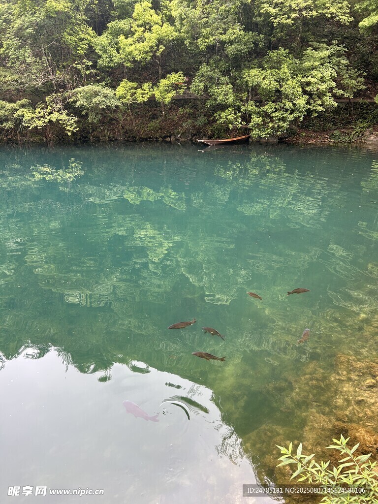 清澈幽潭绿意环绕的美景