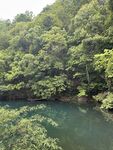 青山绿水间的静谧溪流
