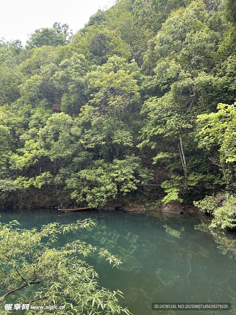 青山绿水间的静谧溪流