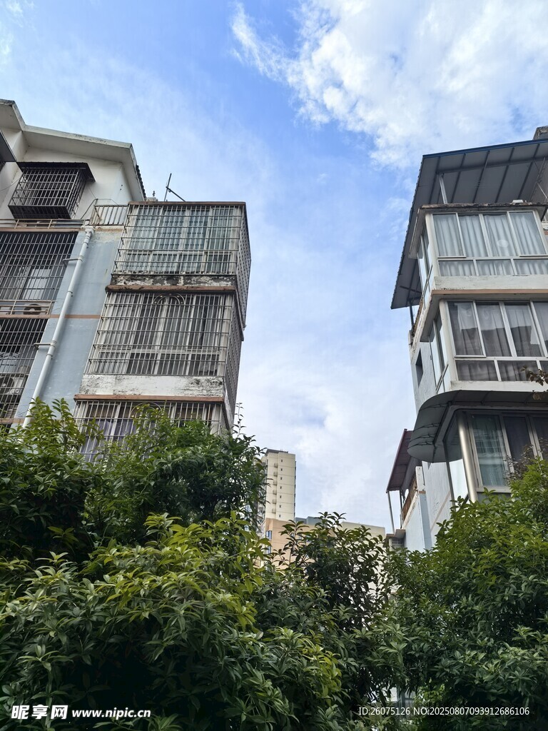 老旧居民楼旁的葱郁绿植