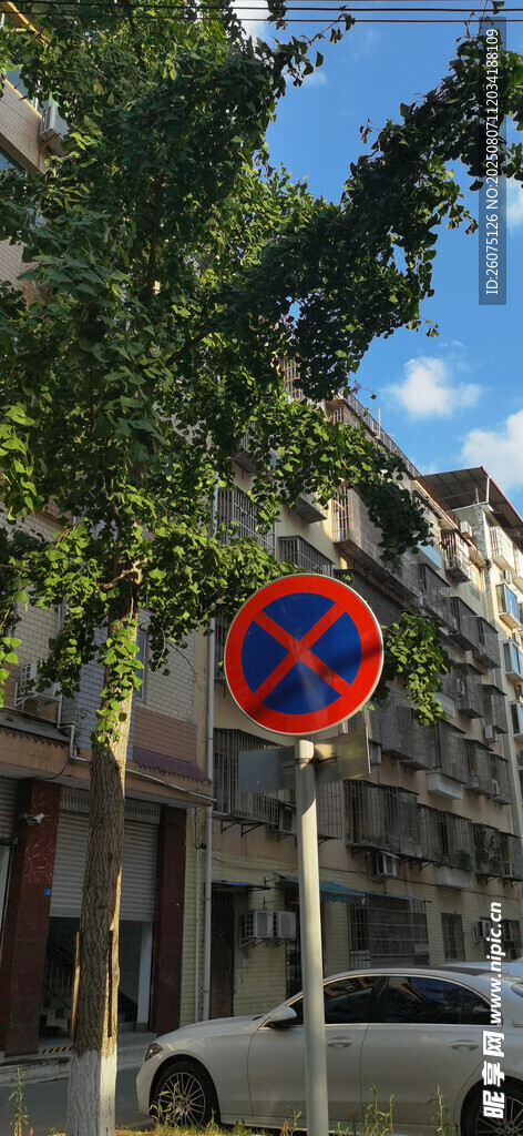 街道旁的交通指示标志