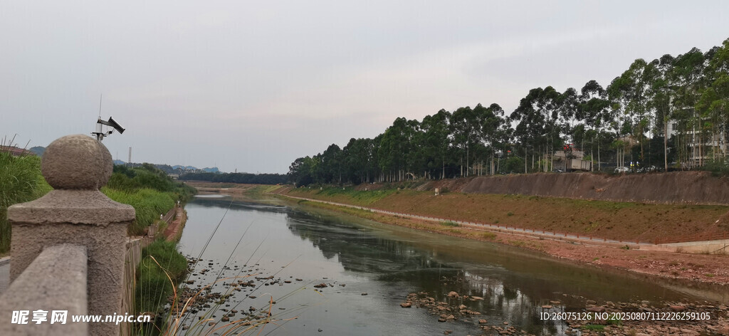 河畔风景宁静自然之美