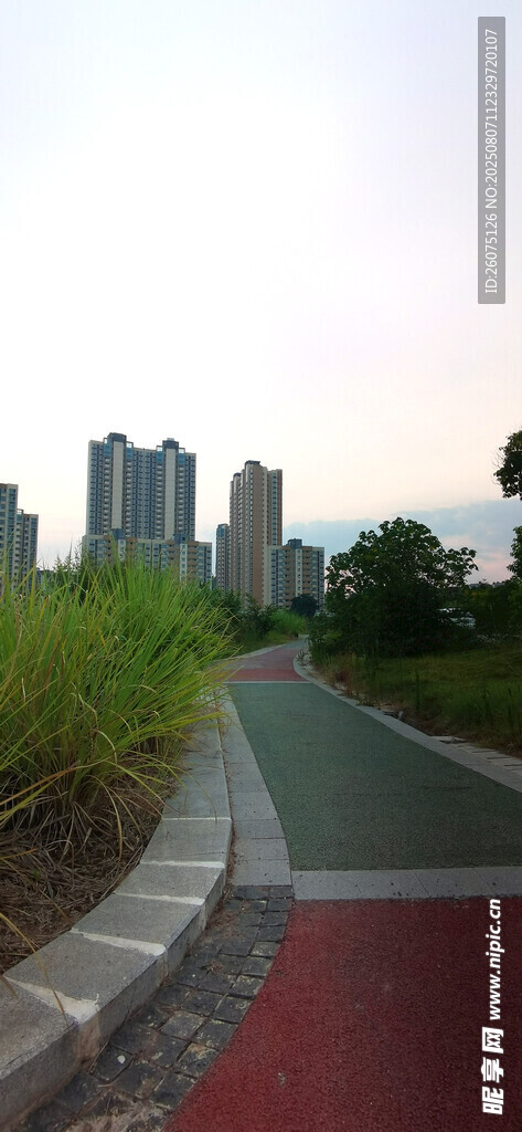 城市中多彩步道与绿植景观