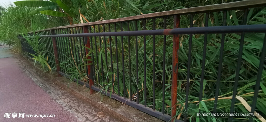 步道边铁艺围栏与绿植景观