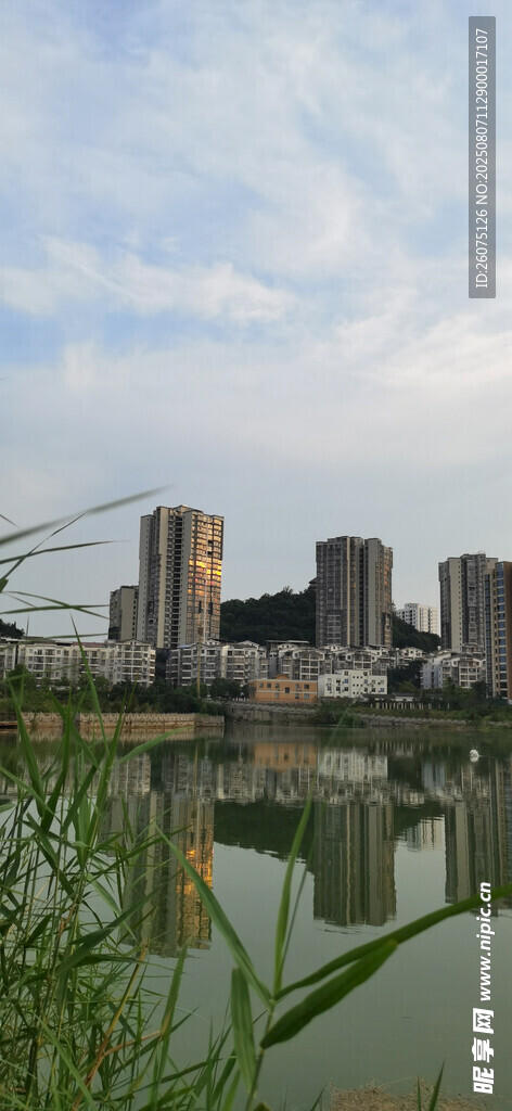 湖畔城市风光