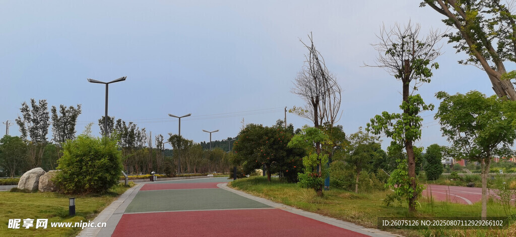 公园宽广的红色步道与绿植