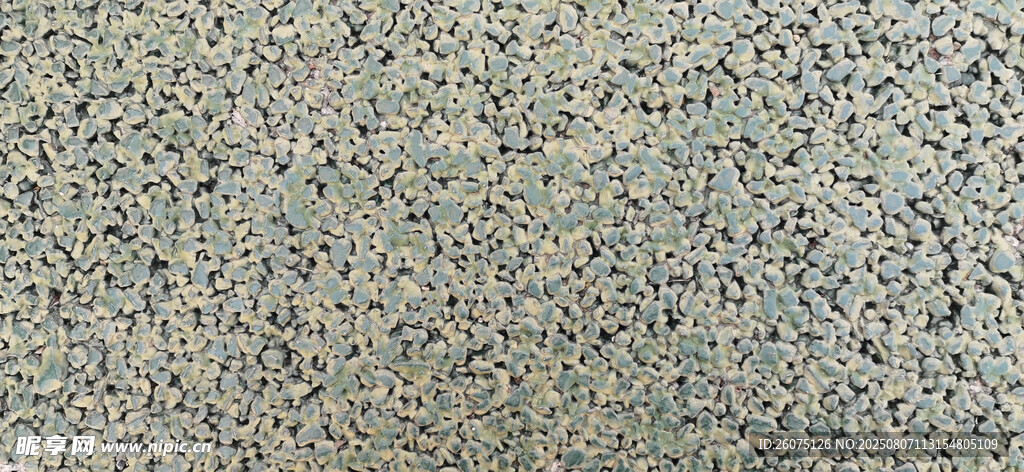 纹理粗糙的绿色地面特写