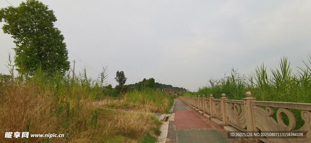 乡村小道风景