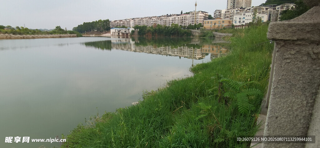 河畔风光宁静水边景致