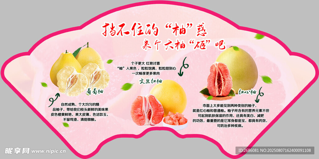 柚子异形吊旗  扇形 
