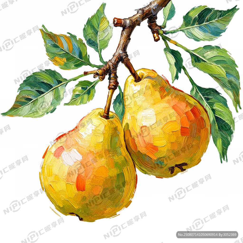 手绘 一个树枝上两个黄色的圆梨