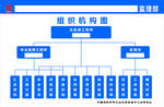 建材组织机构图