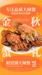 大闸蟹
