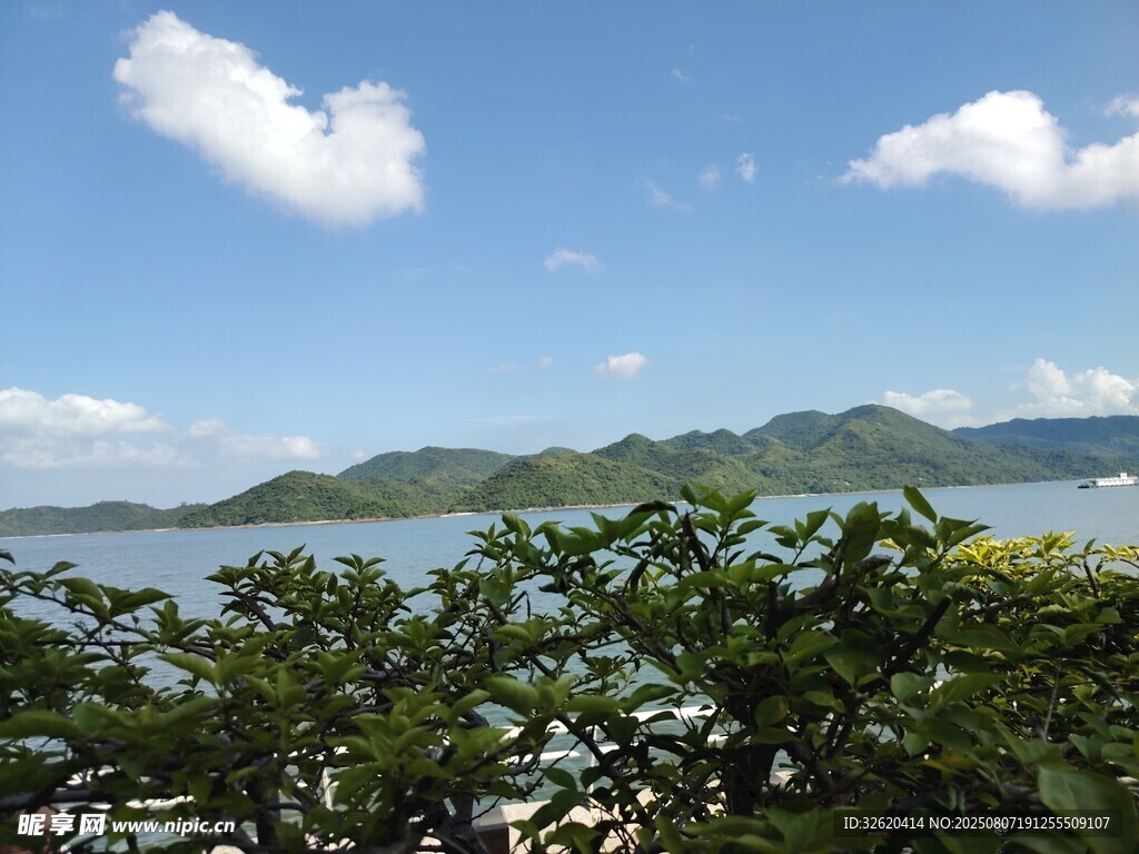 海边绿植与远山海景