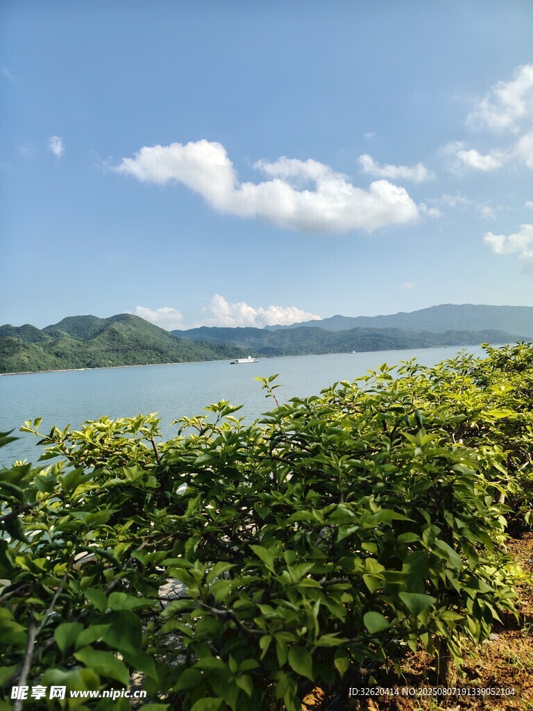 湖畔绿植与远山美景