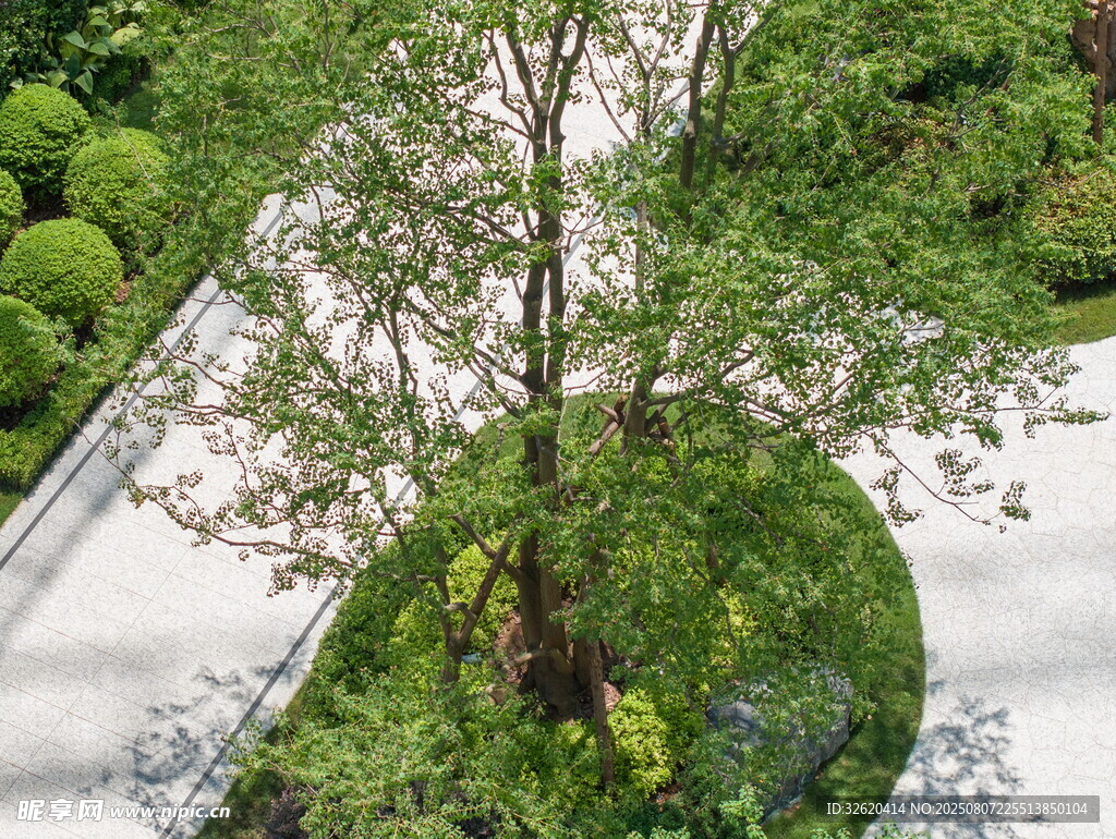 庭院绿植景观