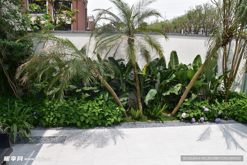 庭院绿植景观