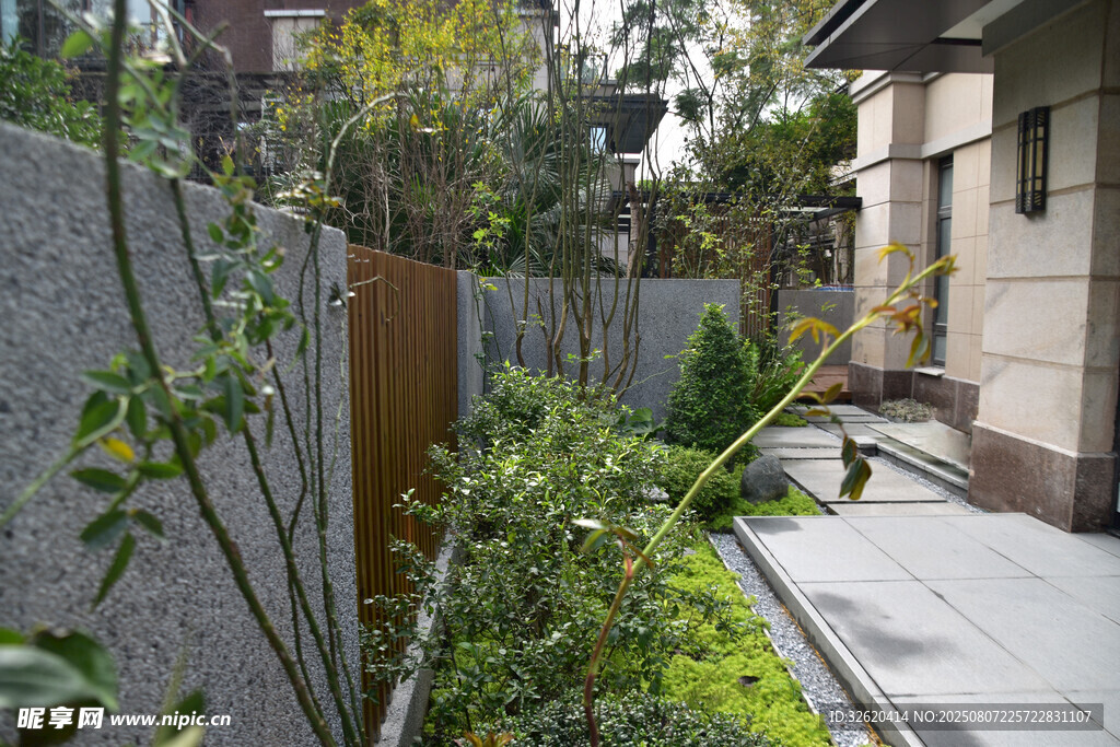 日式庭院绿植小道景致