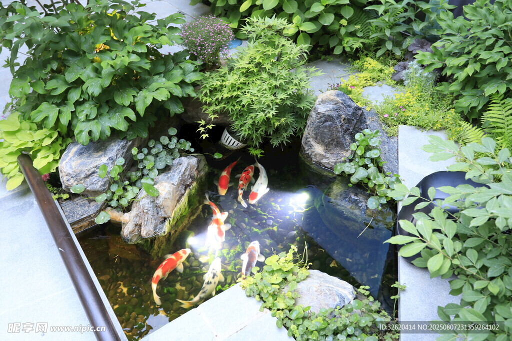 中式庭院锦鲤池景观