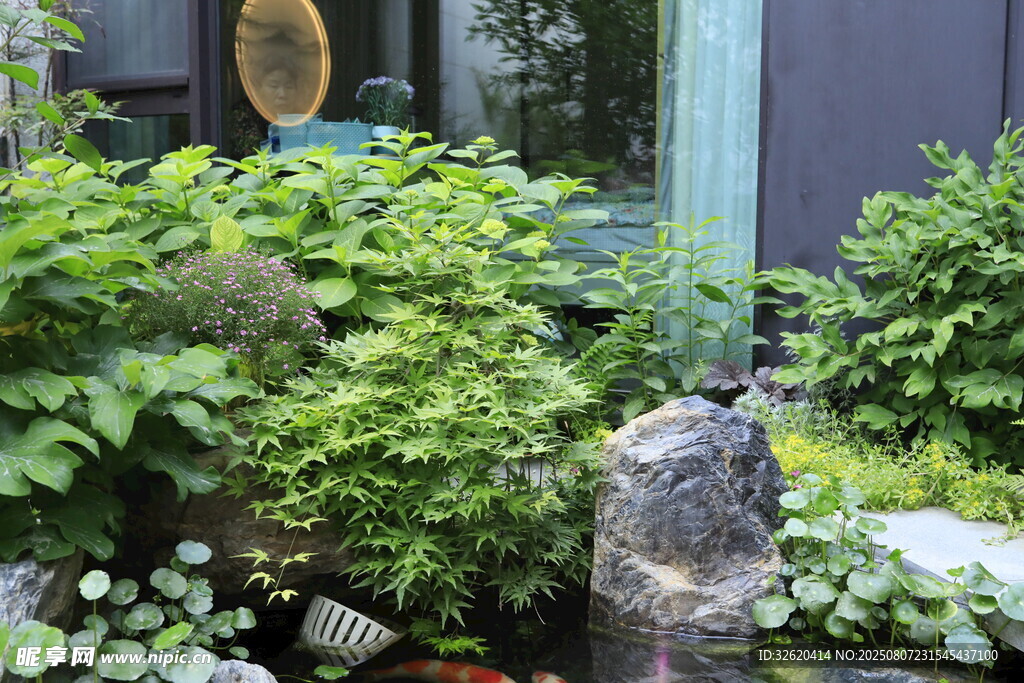 庭院绿植景观