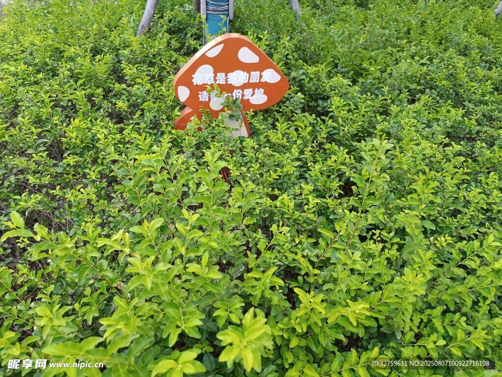 草地上的蘑菇形标识牌