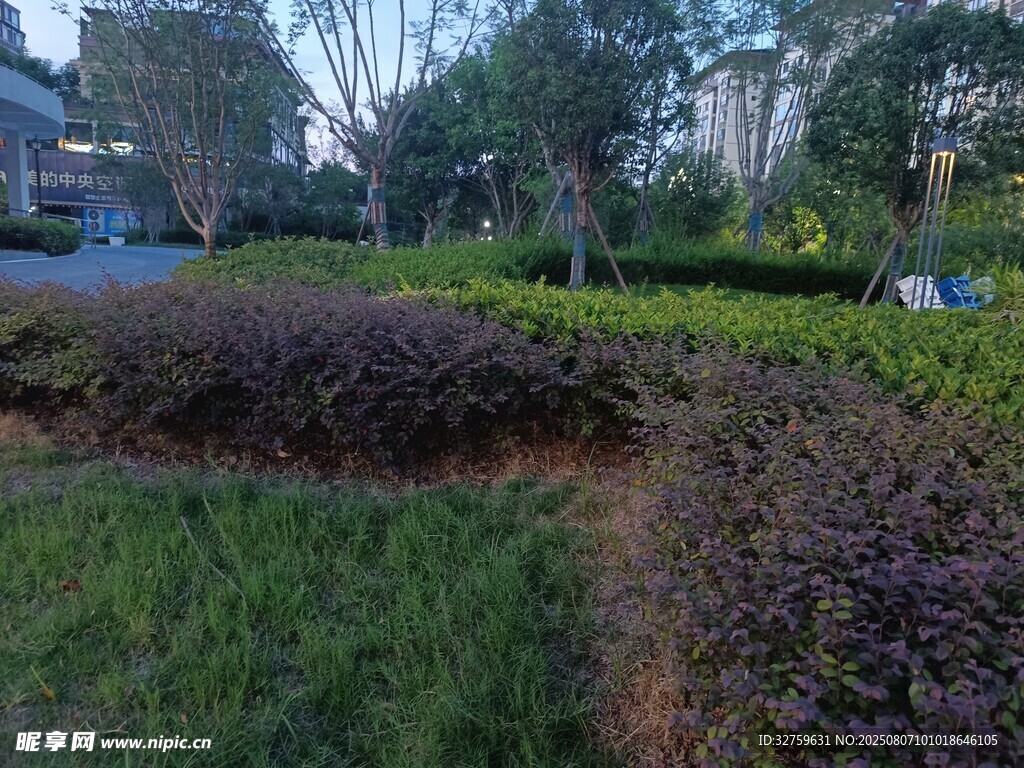 城市中的绿植景观