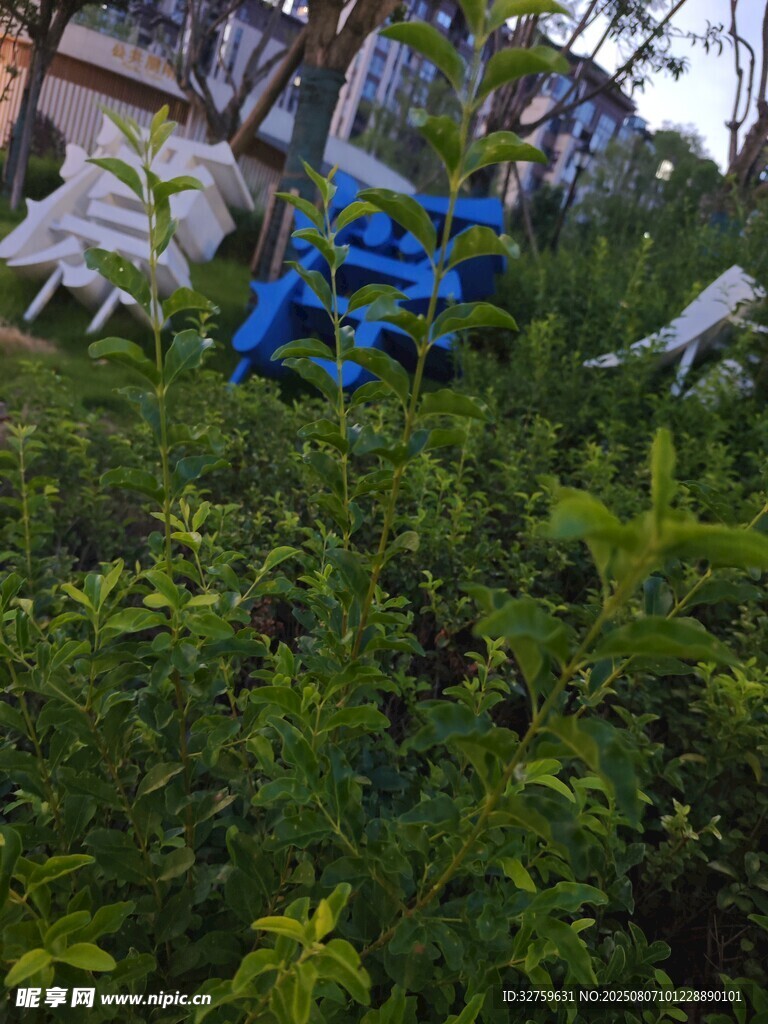 绿植中的蓝色艺术装置