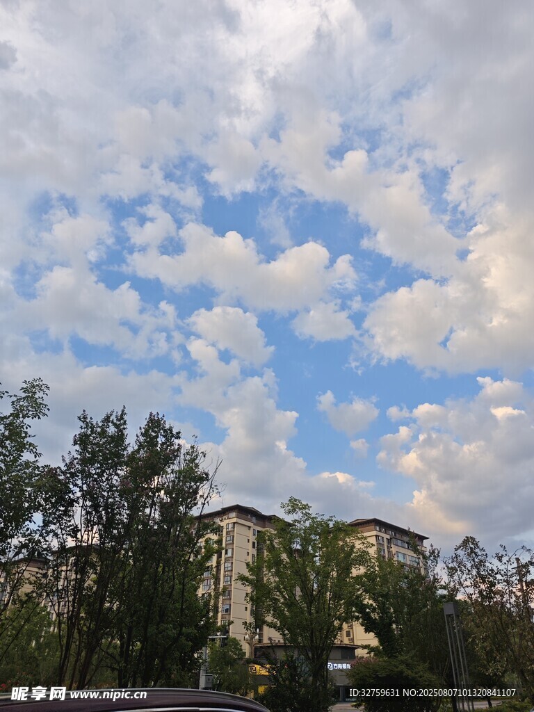 蓝天白云下的城市绿植景观