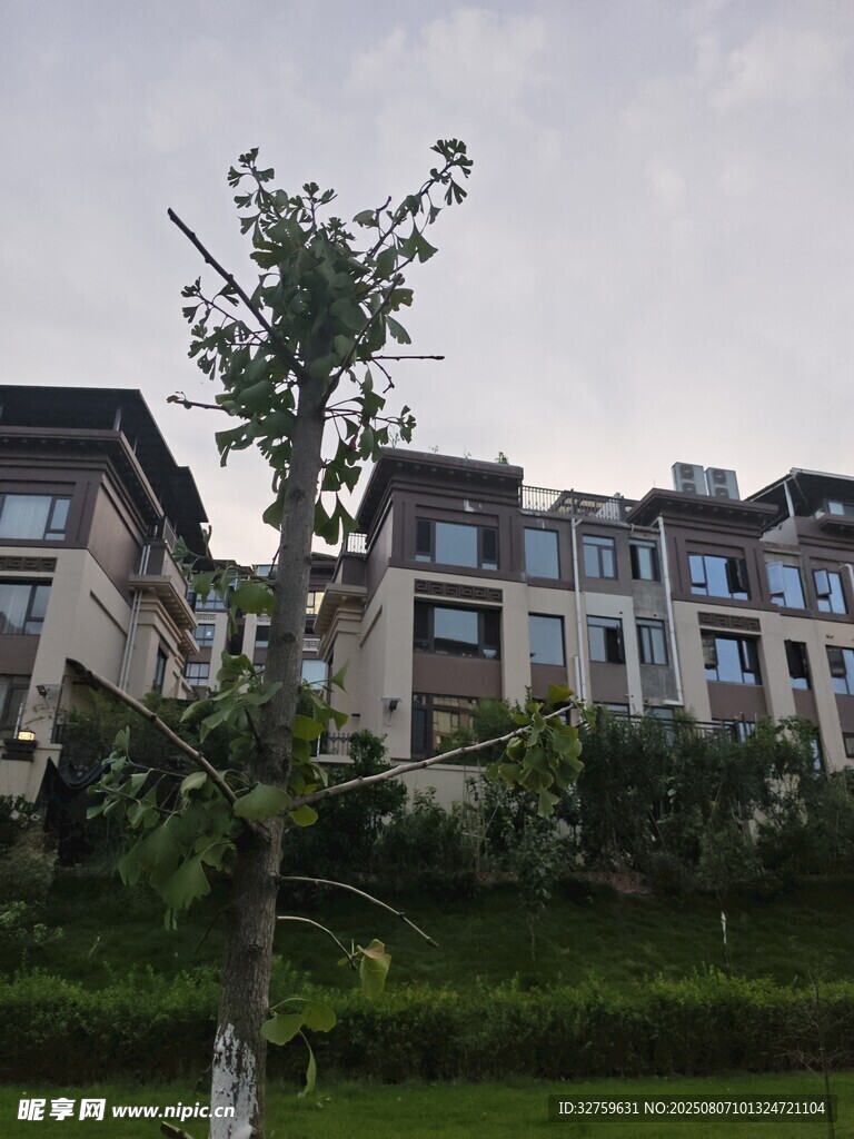 山坡上的多层住宅建筑