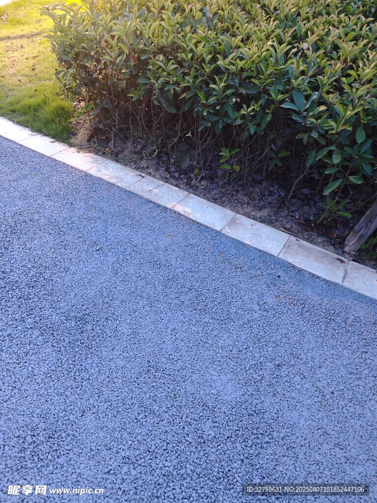 平整沥青路面与绿植