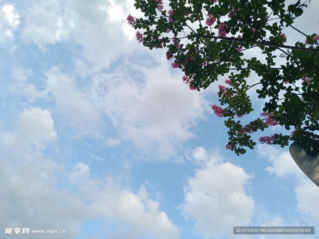 蓝天绿树间的白云景致