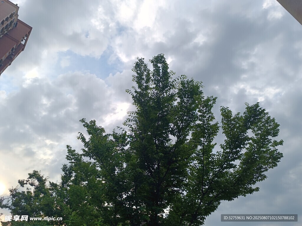 绿树映云下的清新景致