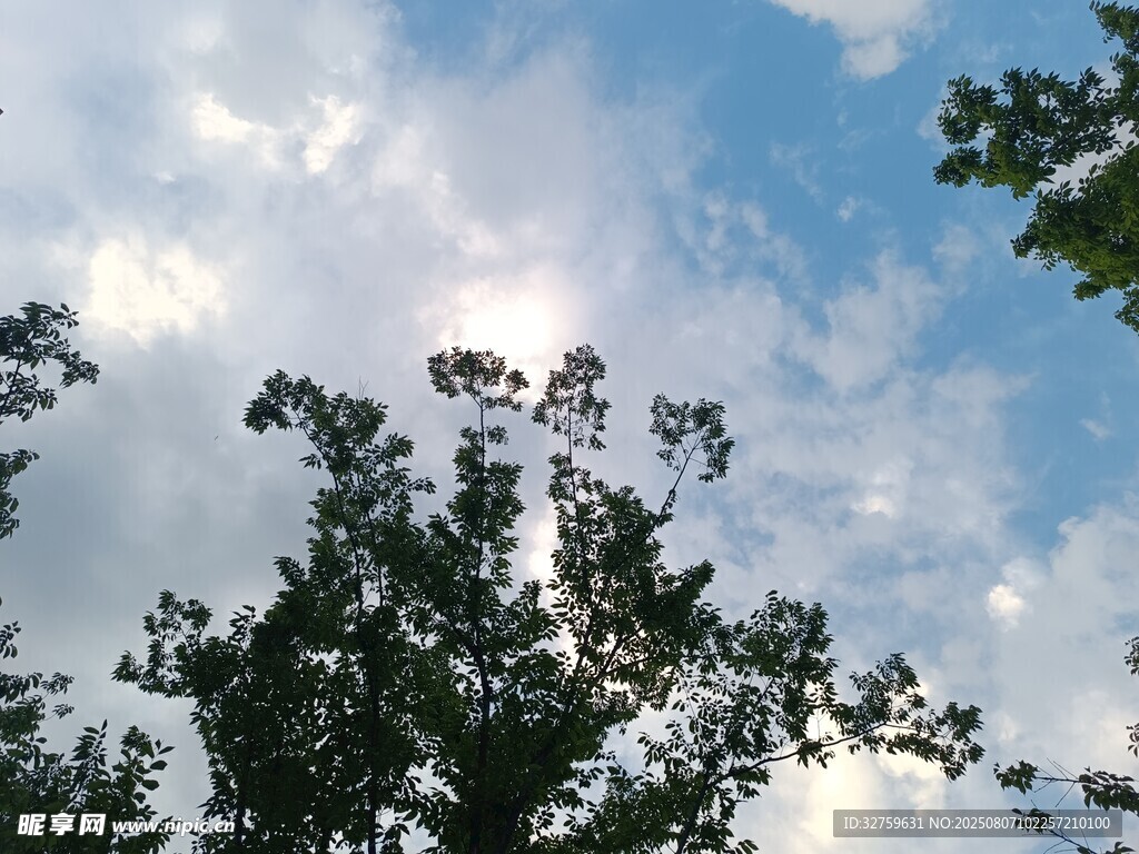 蓝天绿树间的清新景致