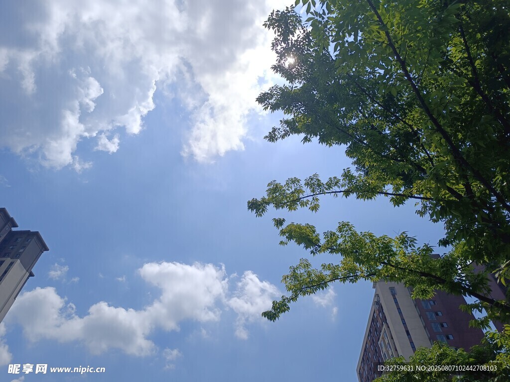 蓝天绿树间的美好景致