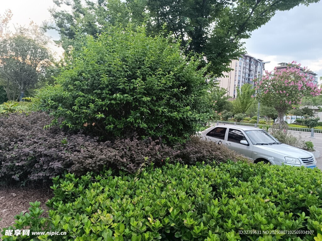 城市绿植环绕的停车场景