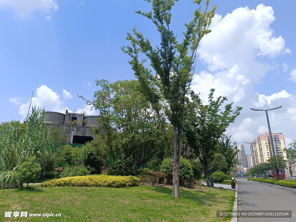 城市路边绿意盎然的景致