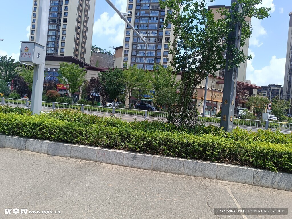 城市道路旁的绿植与建筑
