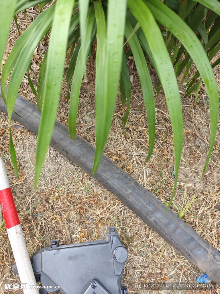 户外绿植旁的灰色物件