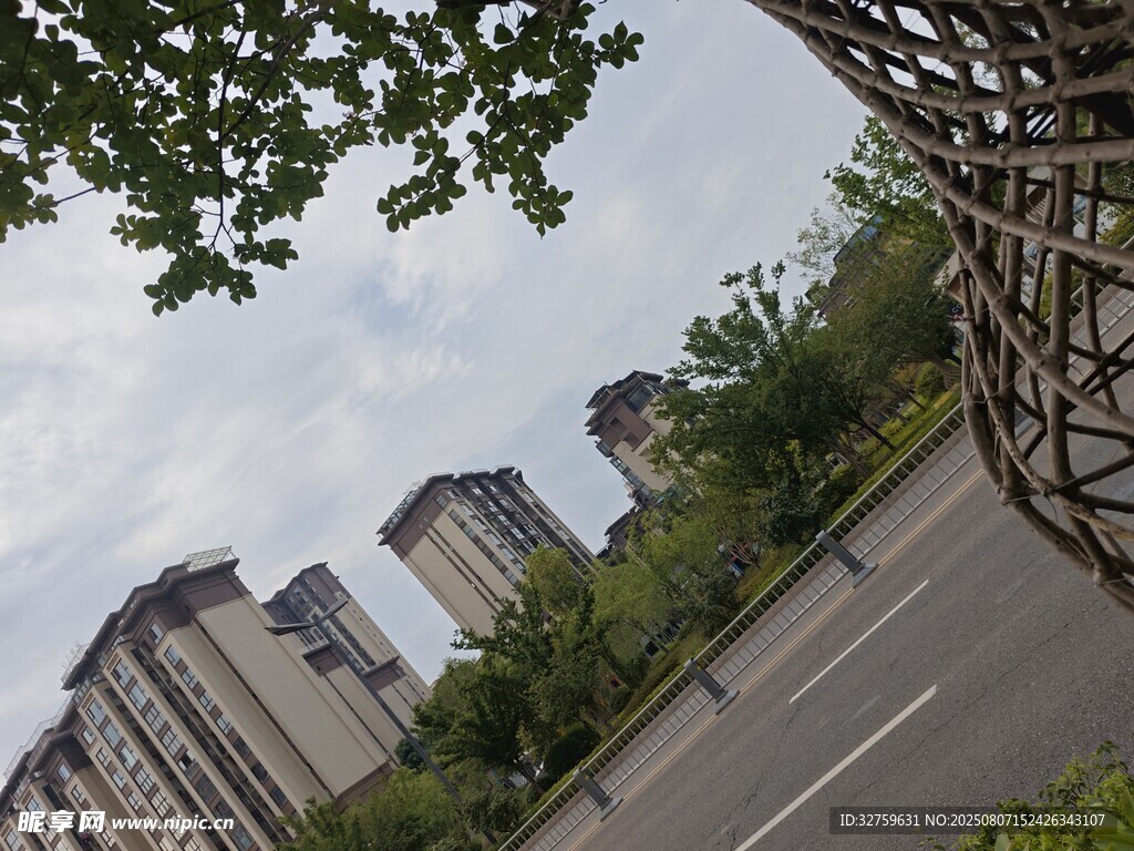 城市道路旁的高楼与绿植
