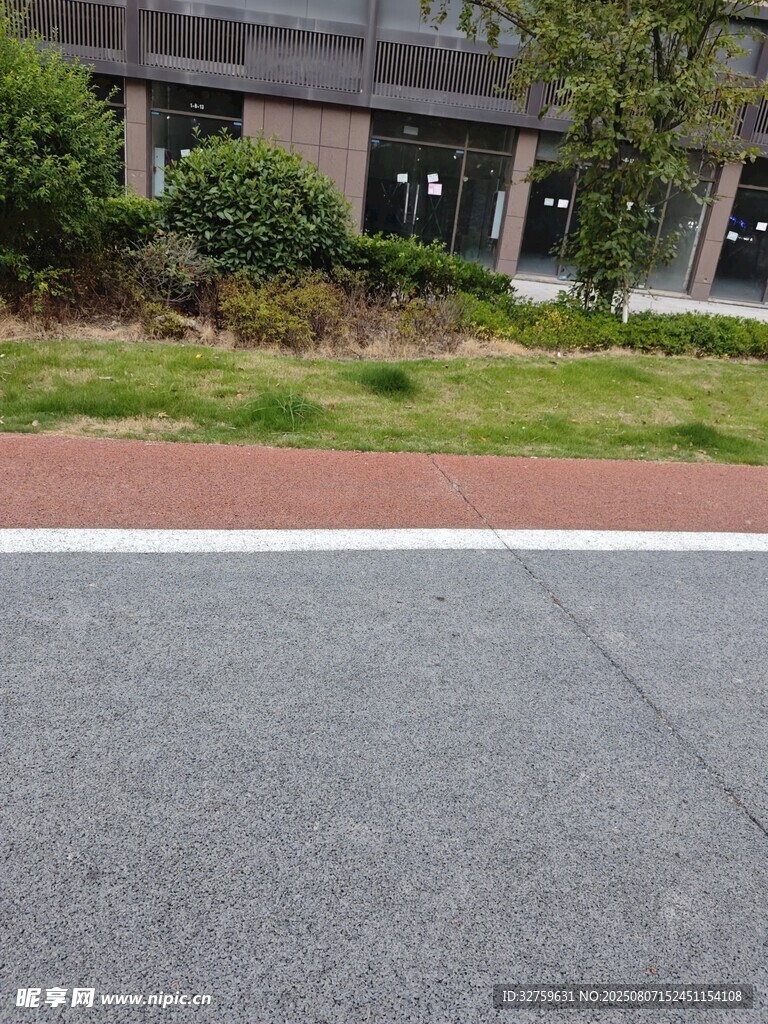 城市街道旁的绿化景观