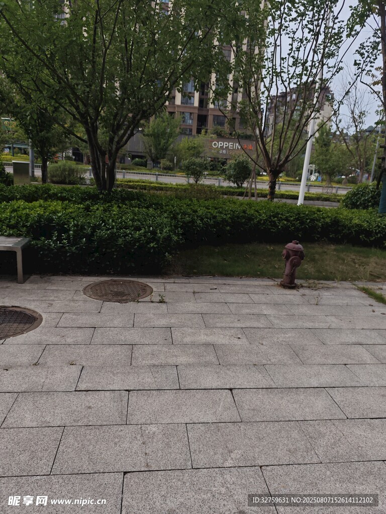 公园内的宁静休闲场景