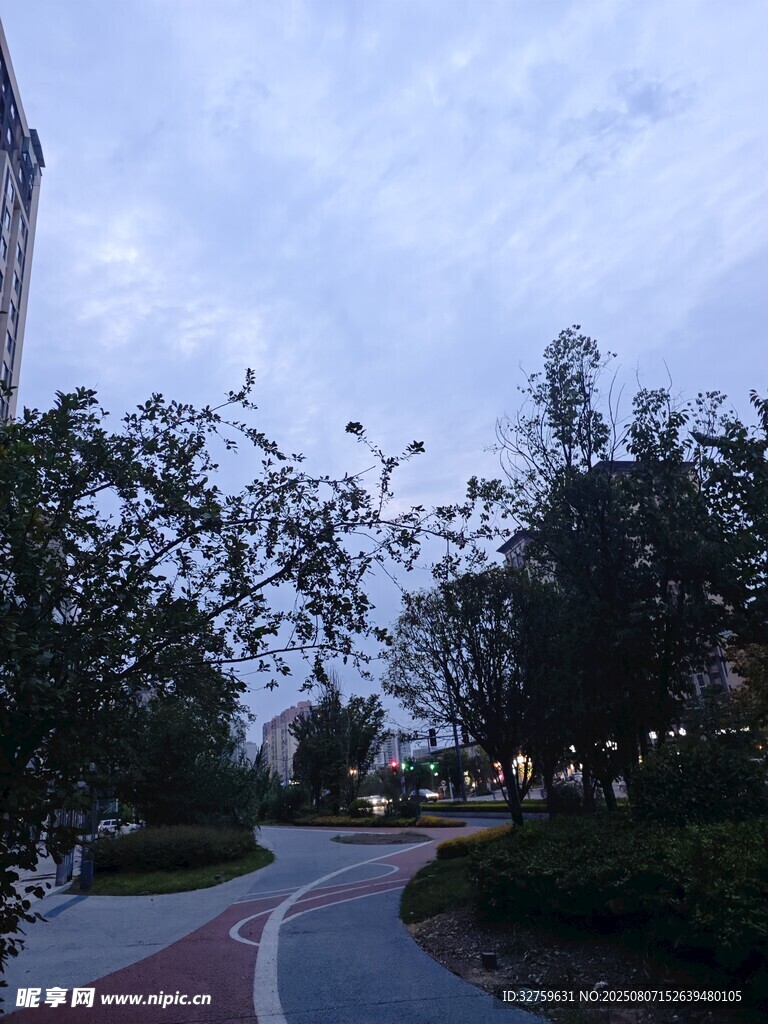黄昏校园小路景色
